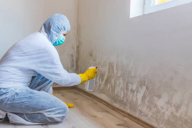 Mold Remediation specialist working in Green Cove Springs
